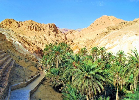 Circuit Mer & Oasis - 8J/7N - 4