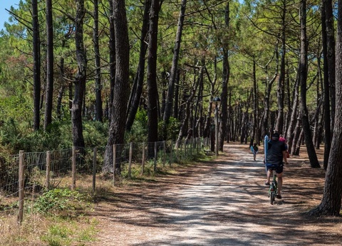 Camping Campéole Le Vivier 4* - 51