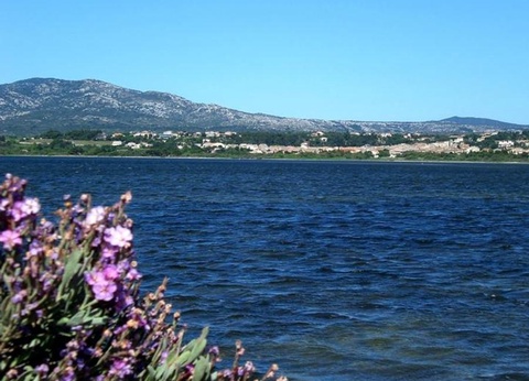 Domaine de la Palme, 3* - 31