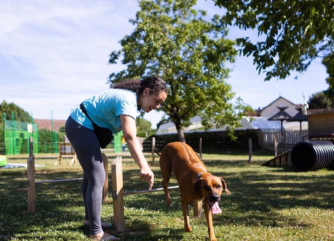 Camping Le Ventoulou, 4* - 42