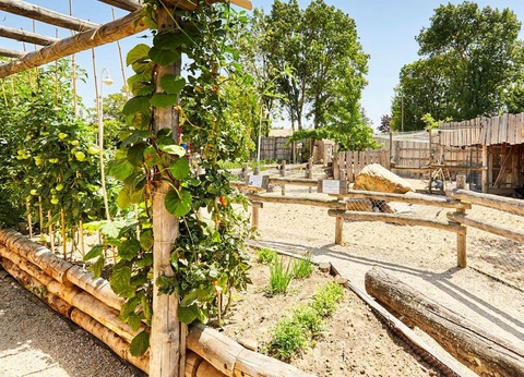 Camping La Grand Métairie - Camping Paradis, 4* - 9