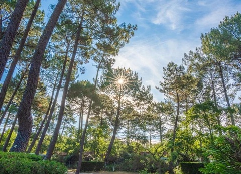 Camping Les Goélands, 3* - 27