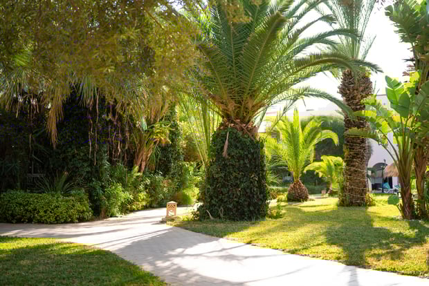 Hôtel Eden Yasmine Hammamet 4* - 14