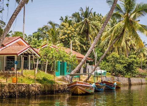 Circuit Trésors de Ceylan 4* - 5