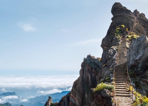 Circuit Joyaux de Madère - Hôtel Do Centro 3* - 19