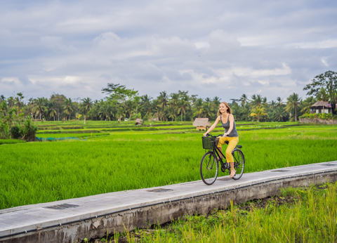 Circuit Lotus de Bali et Plage - 25