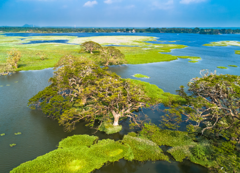 Circuit Trésors du Sri Lanka en Privatif et plage à Pasikudah 3* - 16