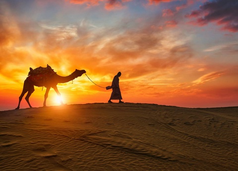 Circuit Lumières du désert : escapade entre Dubai et Abu Dhabi ***** - 8