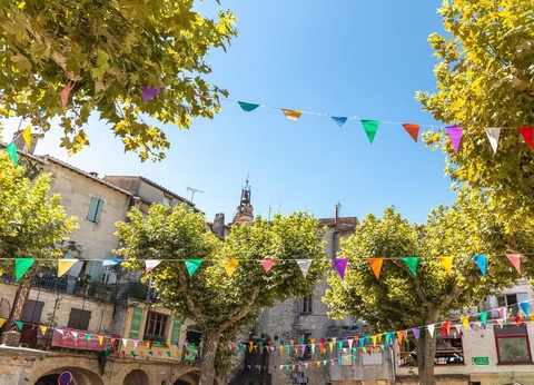 Camping du Domaine de Massereau, 5* - 39