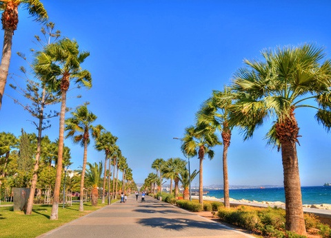 Autotour Richesses de Chypre en liberté *** - 13