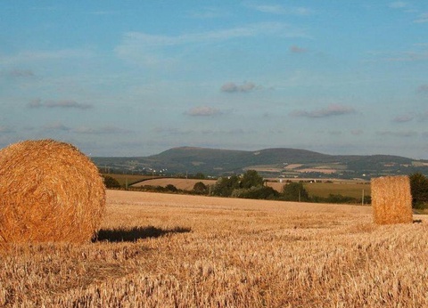 Camping Sites et Paysages - Le Panoramic 4* - 35