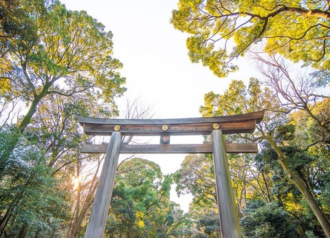 Circuit Japon du Soleil Levant - 6