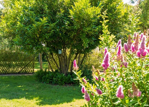 Camping Baie de Terenez 3* - 48