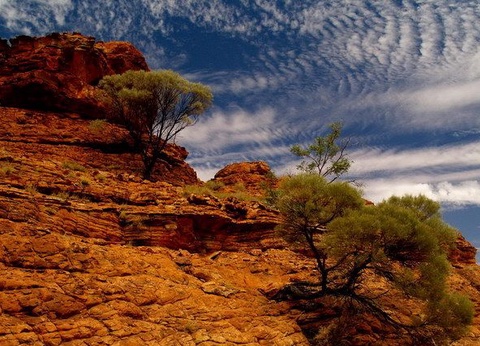 CIRCUIT MOSAIQUE AUSTRALIENNE ET OUVERTURE SUR LE SUD - 7