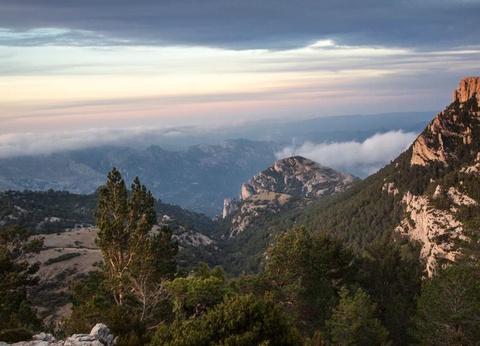 Camping Terra Alta, 3* - 26