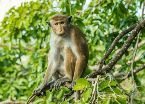 Circuit Sur la route des Epices - 27