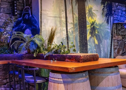 Camping Domaine de la Sainte Baume, 4* - 17