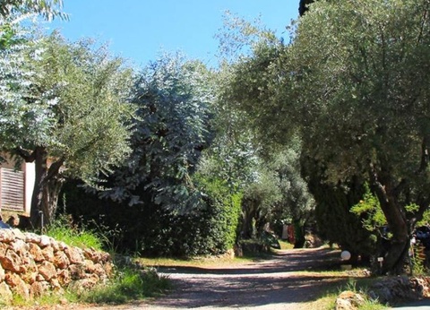 Camping Les Philippons, 3* - 12