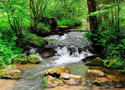 SR: Weekend relaxant aux thermes de Spa - 4* - 7