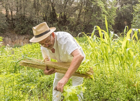 Camping Corsica Paradise Lacasa 4* - 11