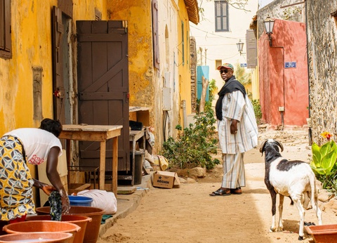 Circuit Au rythme de l'Afrique de l'Ouest : le Sénégal, terre de contrastes - 4