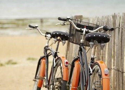 Camping La Frétille, 3* - 22