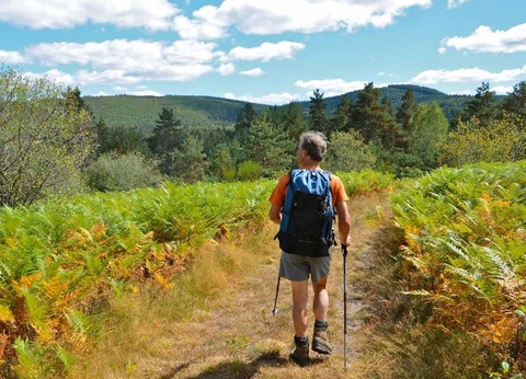 Flower Camping Beauchêne 3* - 25