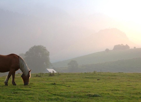 Camping Le Rey, 3* - 49