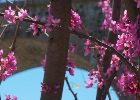 Camping Les Arches, 4* - 20