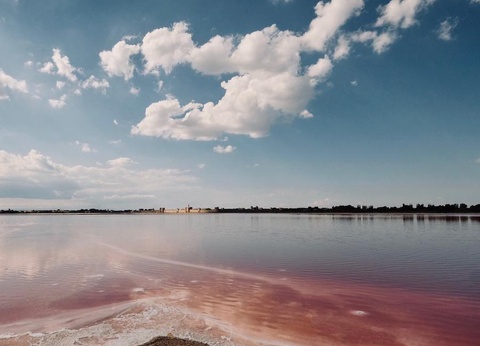 Camping Eden, 5* - 29