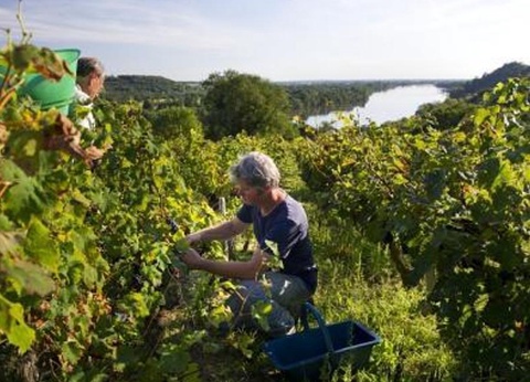 Camping Nantes Camping, 5* - 71