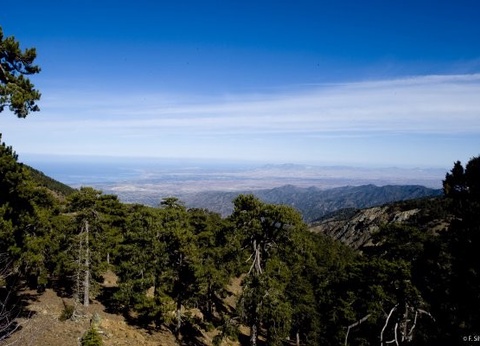 Circuit Trésors de Chypre 3* - 6