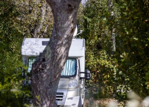 Flower Camping La Davière Plage, 4* - 69