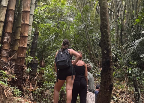 Circuit Privatif - Bali, du centre au Nord - 11