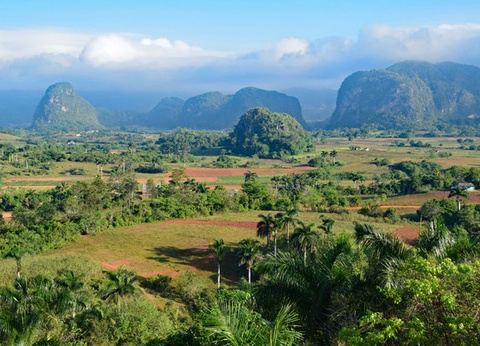 Circuit Perle des Caraïbes (circuit privatif) - 6
