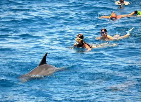 Circuit l’Égypte et la mer rouge Du Caire au Caire - 13