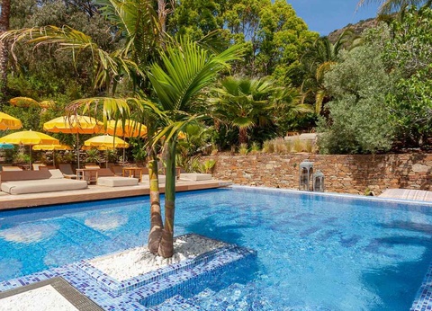 Profitez des belles couleurs du Lavandou et d'un cocktail maison ! - 4* - 16