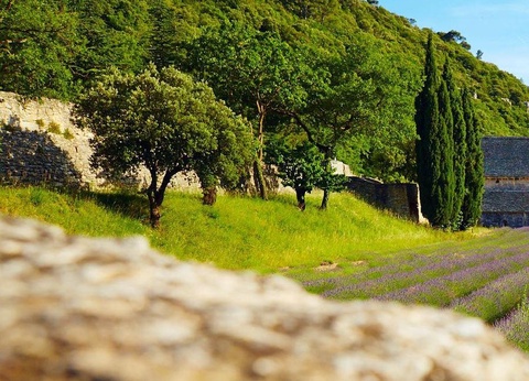 Camping La Pinède en Provence, 3* - 38