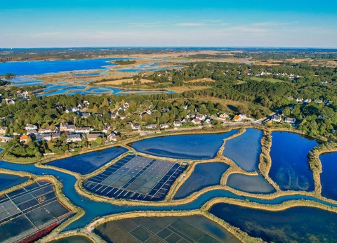 Camping Le Welcome, 3* - 17