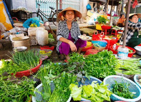 Circuit Good Morning Vietnam - 25