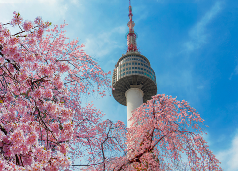 Circuit Aventures Coréennes, de Séoul à l'île de Jeju - 7