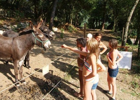 Camping Sites et Paysages - Les Pinèdes, 4* - 9