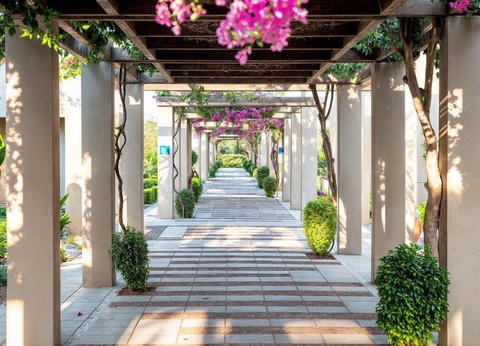 Hôtel Astir Odysseus Kos Resort & Spa 5* - 5