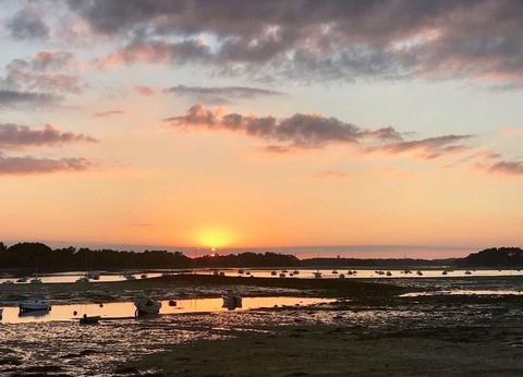 Camping Le Bois d'Amour - 19