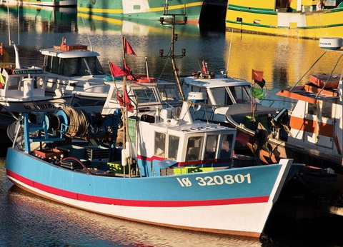 Camping Le Suroit 4* - 25