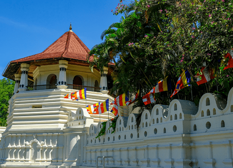 Circuit Trésors du Sri Lanka en Privatif et plage à Pasikudah 3* - 7