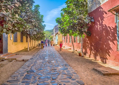 Combiné Circuit Merveilles du Sénégal 3* et Ôclub Experience African Village Bougainvillées 3* - 8