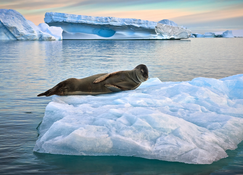 Circuit Tango, Pampa et Terre de Feu - 14