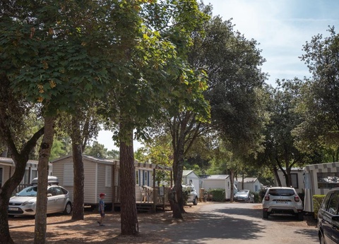 Camping Les Genêts, 5* - 67