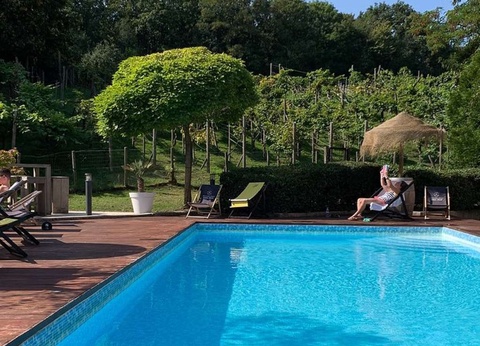 Escapade à deux avec accès spa illimité dans un élégant 4* à Nivelles - 4* - 8